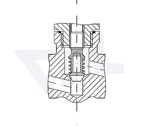 Клапаны невозвратно-запорные с подпружиниванием